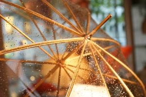 Gold-rim-umbrella1